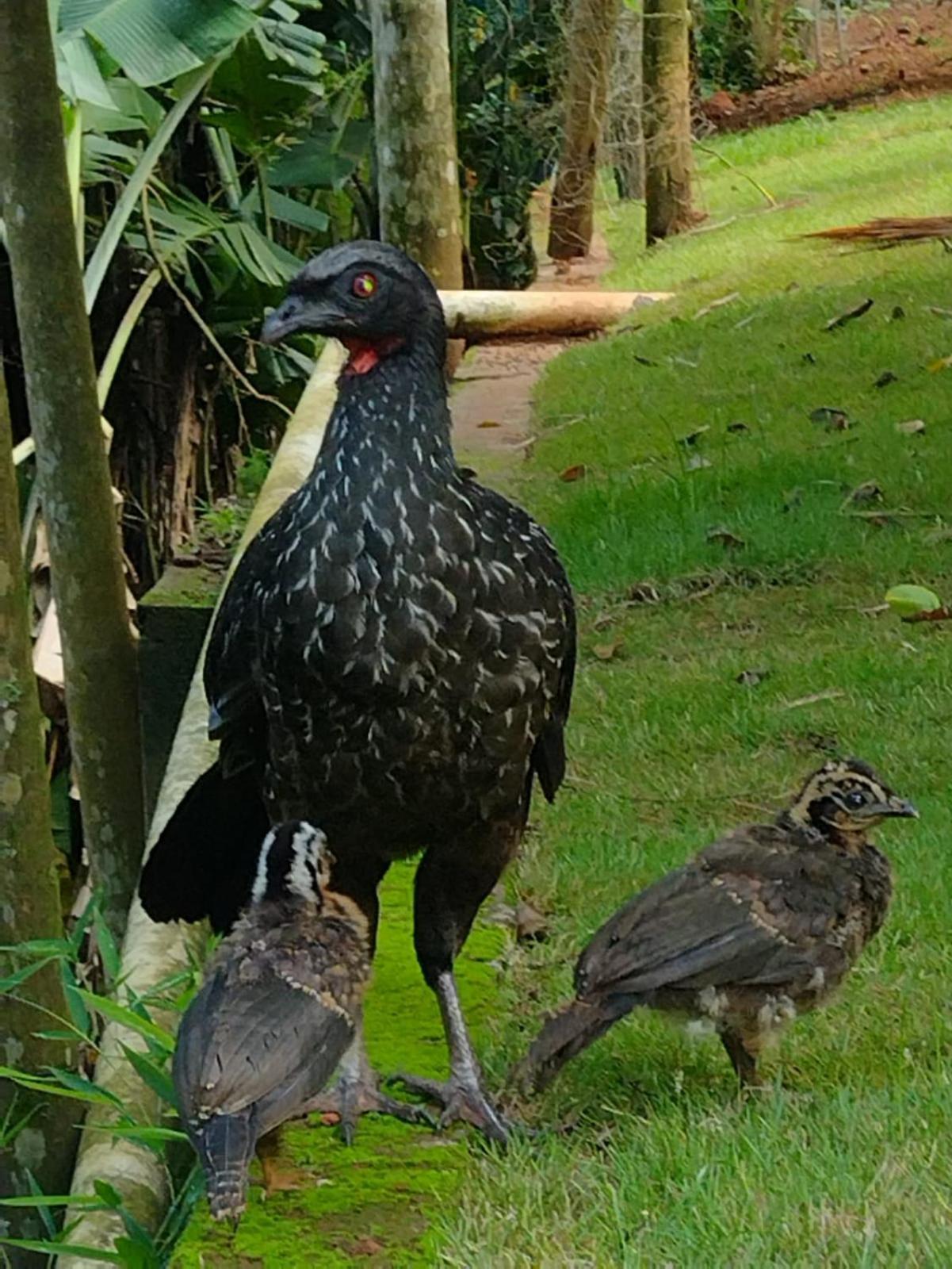 Recanto Petropolis (Rio de Janeiro)